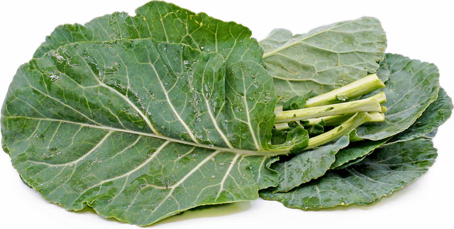 collard green leaves, fresh green kale leaves, visible veins, HD Desktop Wallpaper