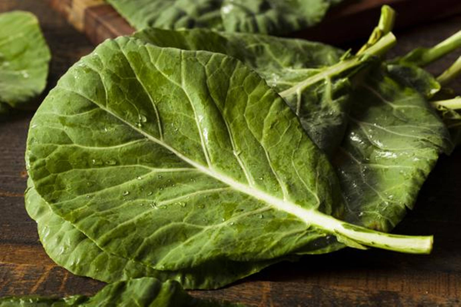 collard greens, fresh green cabbage leaves, water droplets, HD Desktop Wallpaper