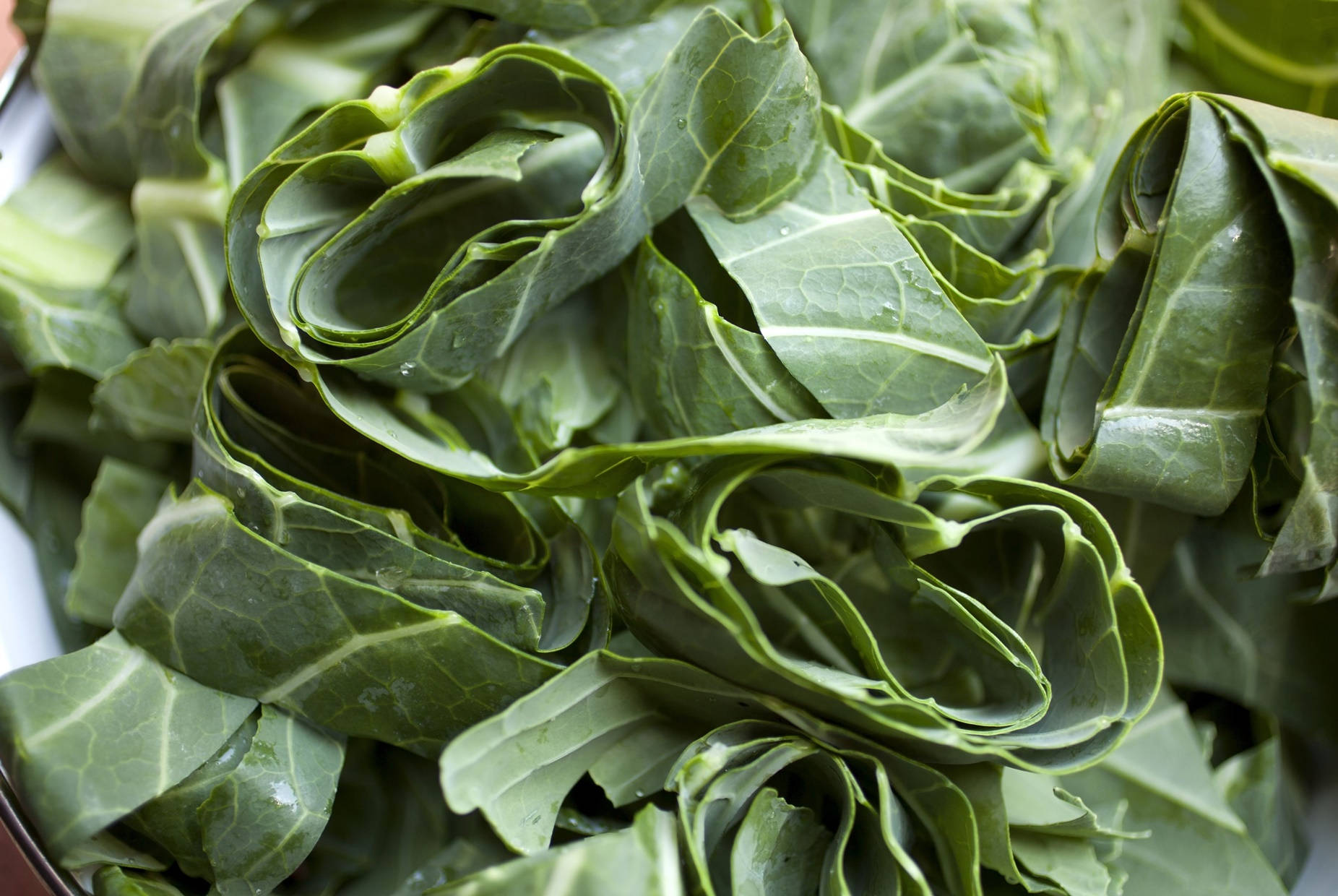 freshly cut collard greens, curly kale, vibrant green hues, HD Desktop Wallpaper