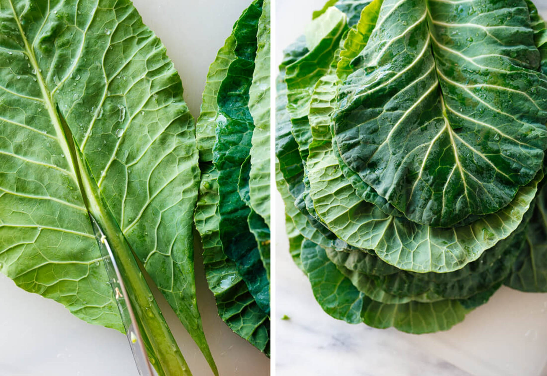 collard greens, white surface, water droplets, HD Desktop Wallpaper