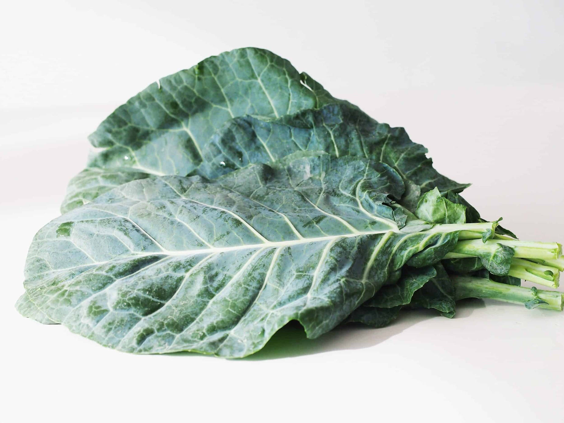 dark green kale leaves, prominent veins, clean white surface, HD Desktop Wallpaper