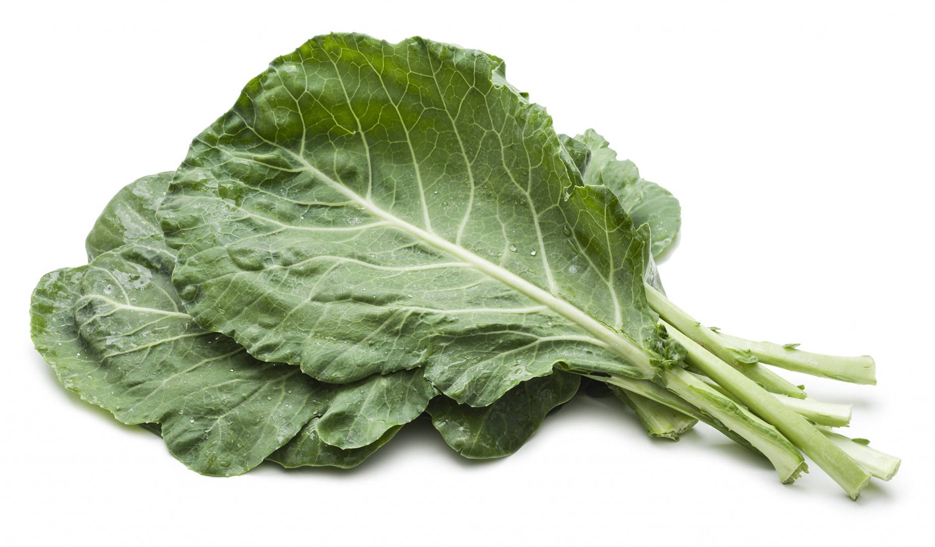 collard greens, fresh green kale leaves, visible veins, HD Desktop Wallpaper