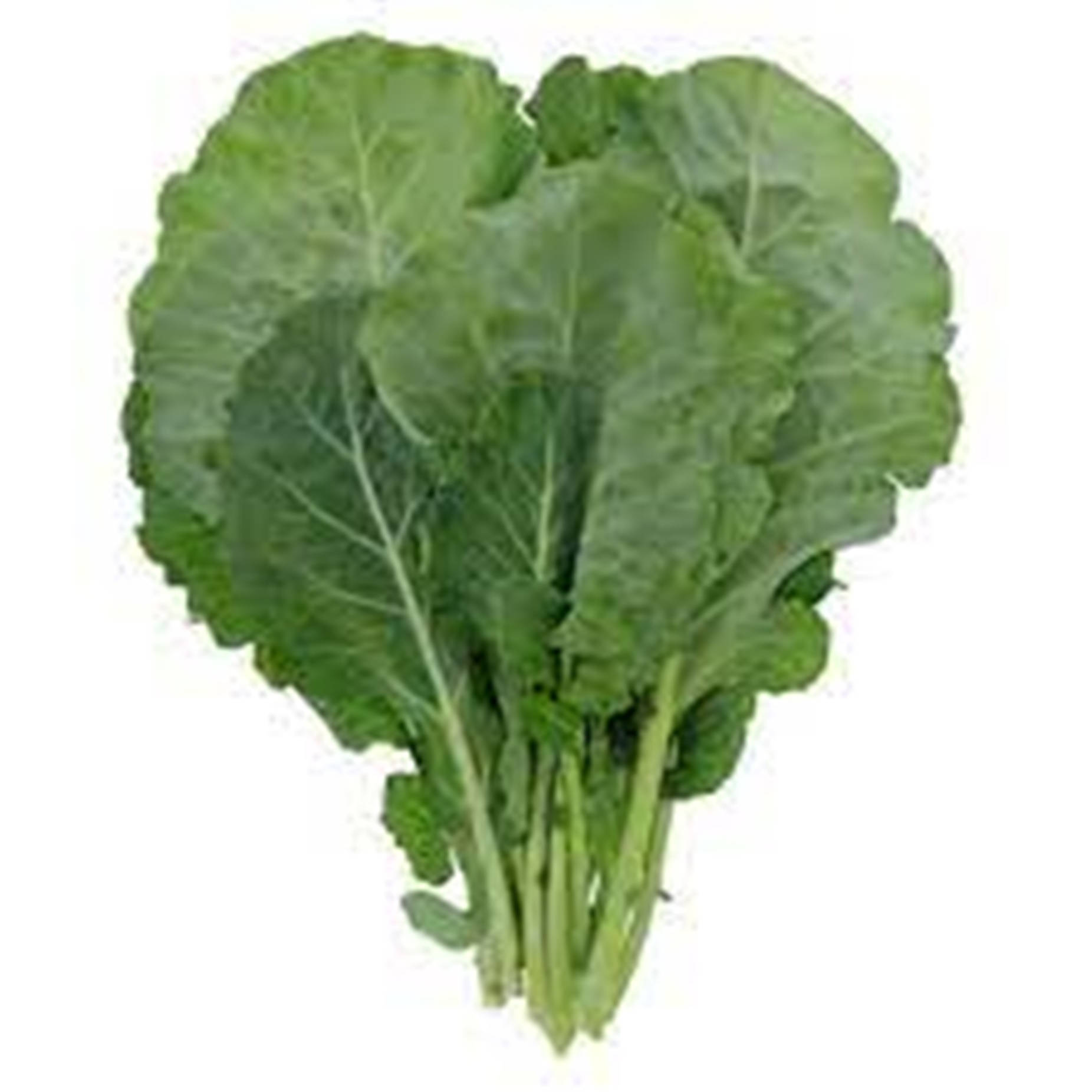 Collard Greens, leafy bundle, ruffled edges, HD Desktop Wallpaper