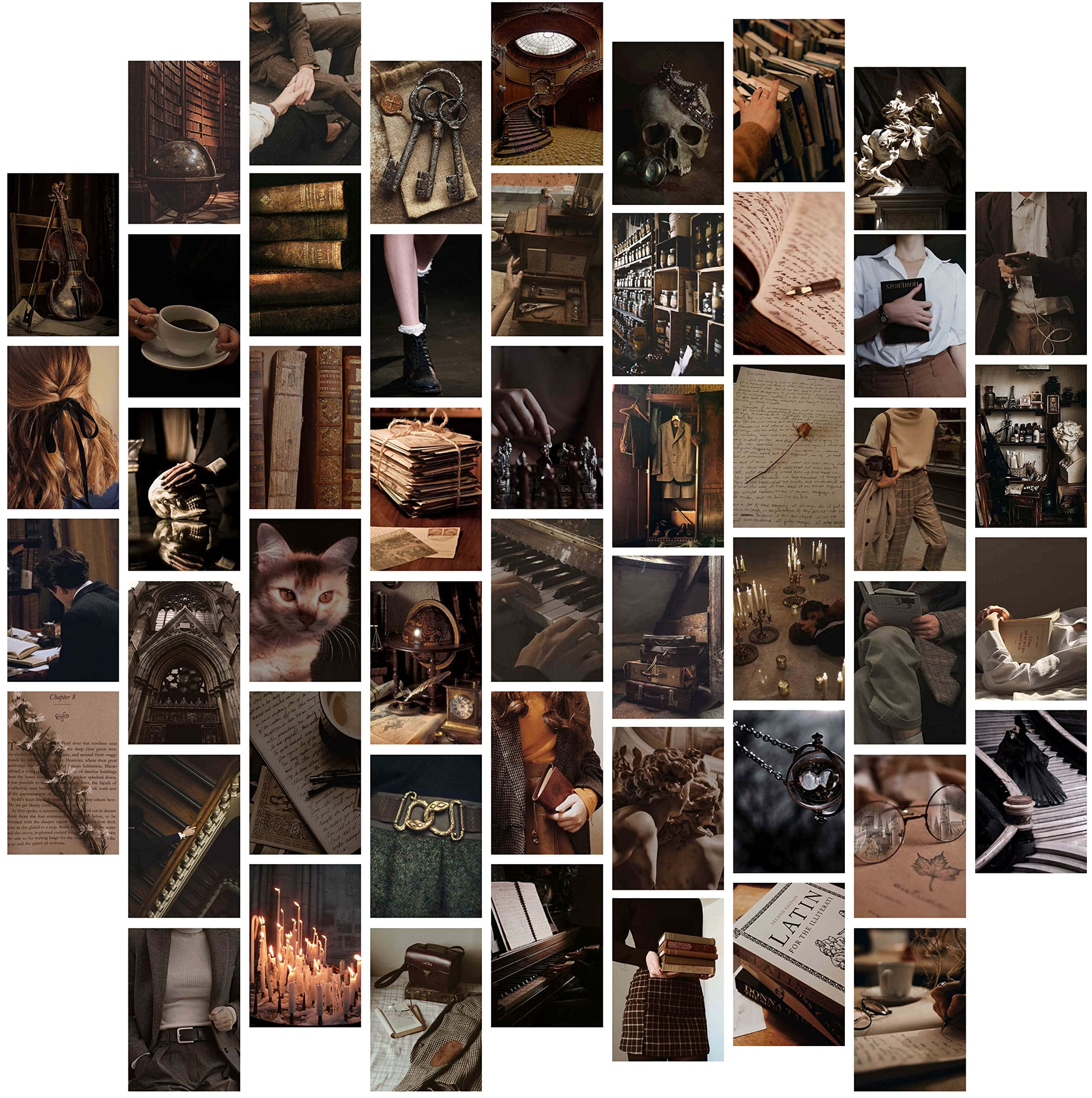 Academia Aesthetic, vintage scholarly scenes, books, 2K Phone Wallpaper