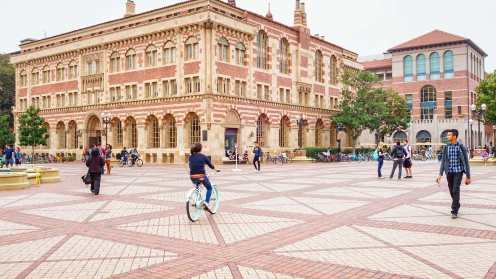 university campus life, sunlit brick plaza, grand red and beige university building, HD Desktop Wallpaper