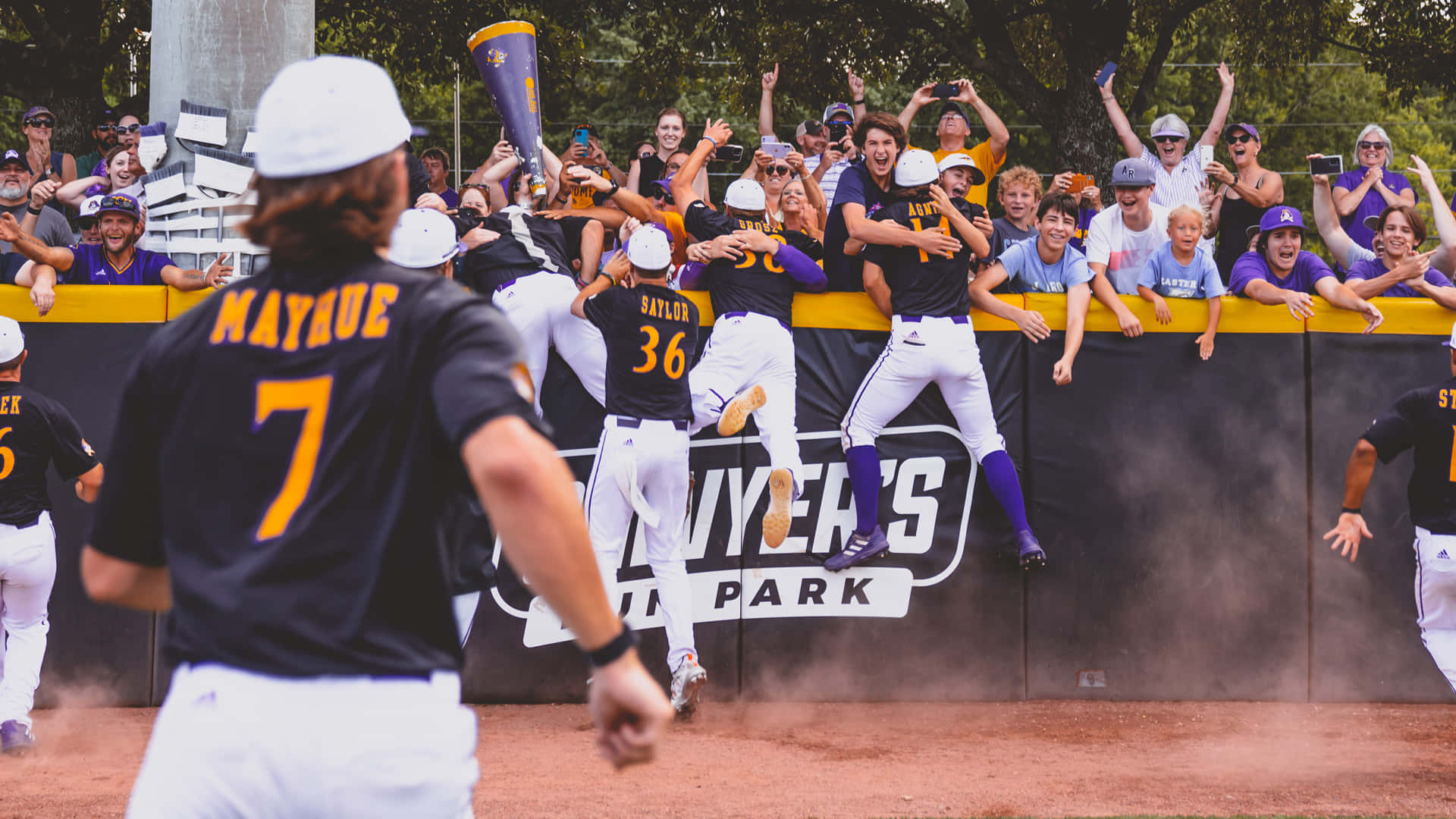 college baseball, black and gold uniforms, stadium, Full HD Desktop Wallpaper
