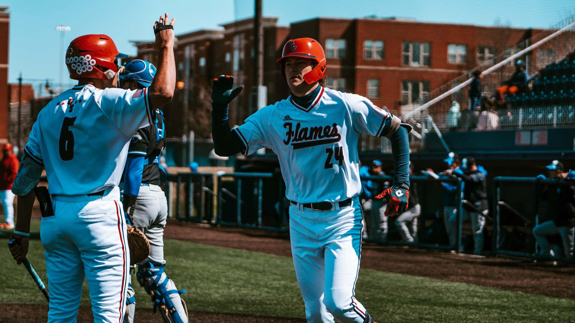 college baseball, light blue uniforms, sunny field, Full HD Desktop Wallpaper