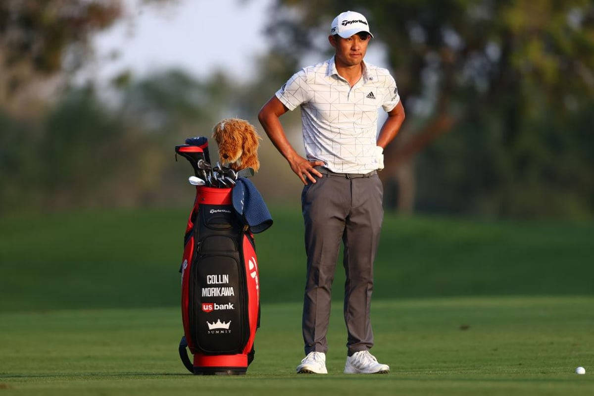 Collin Morikawa, red golf bag, small dog, SD Desktop Wallpaper
