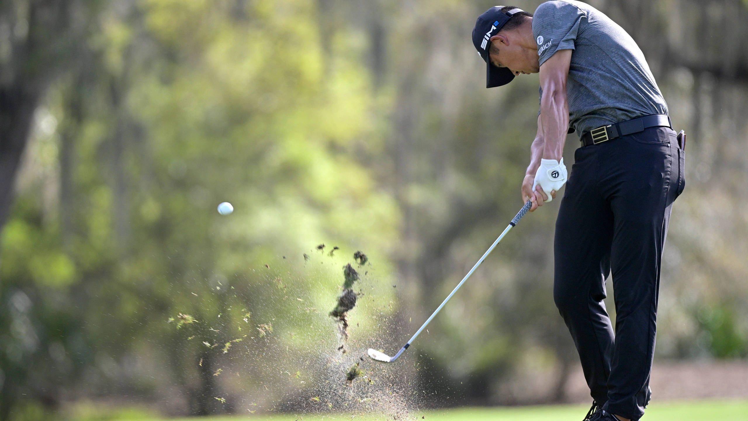 Collin Morikawa, golfer, club, 2K Desktop Wallpaper