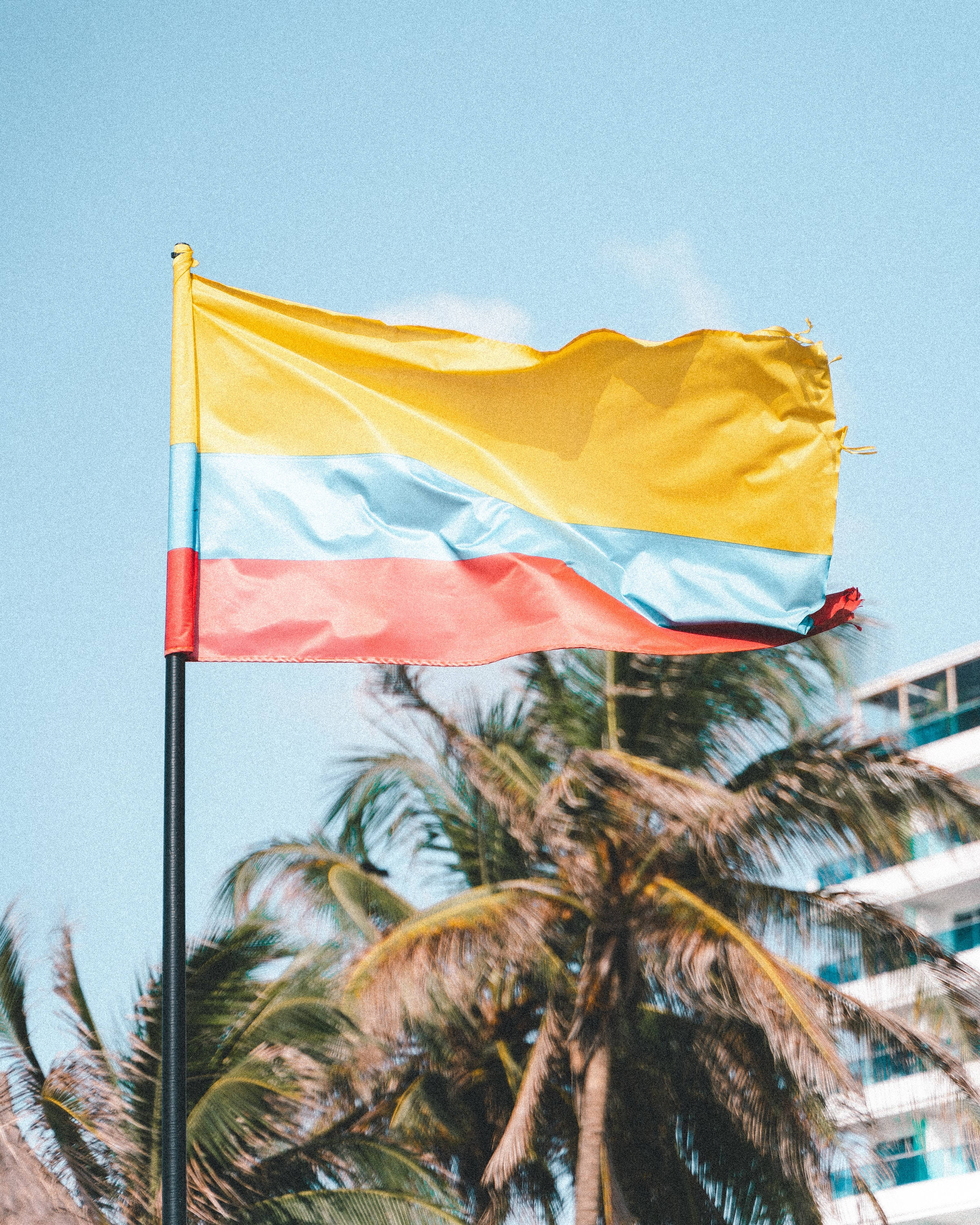 Colombia flag, palm tree, clear blue sky, 2K Phone Wallpaper