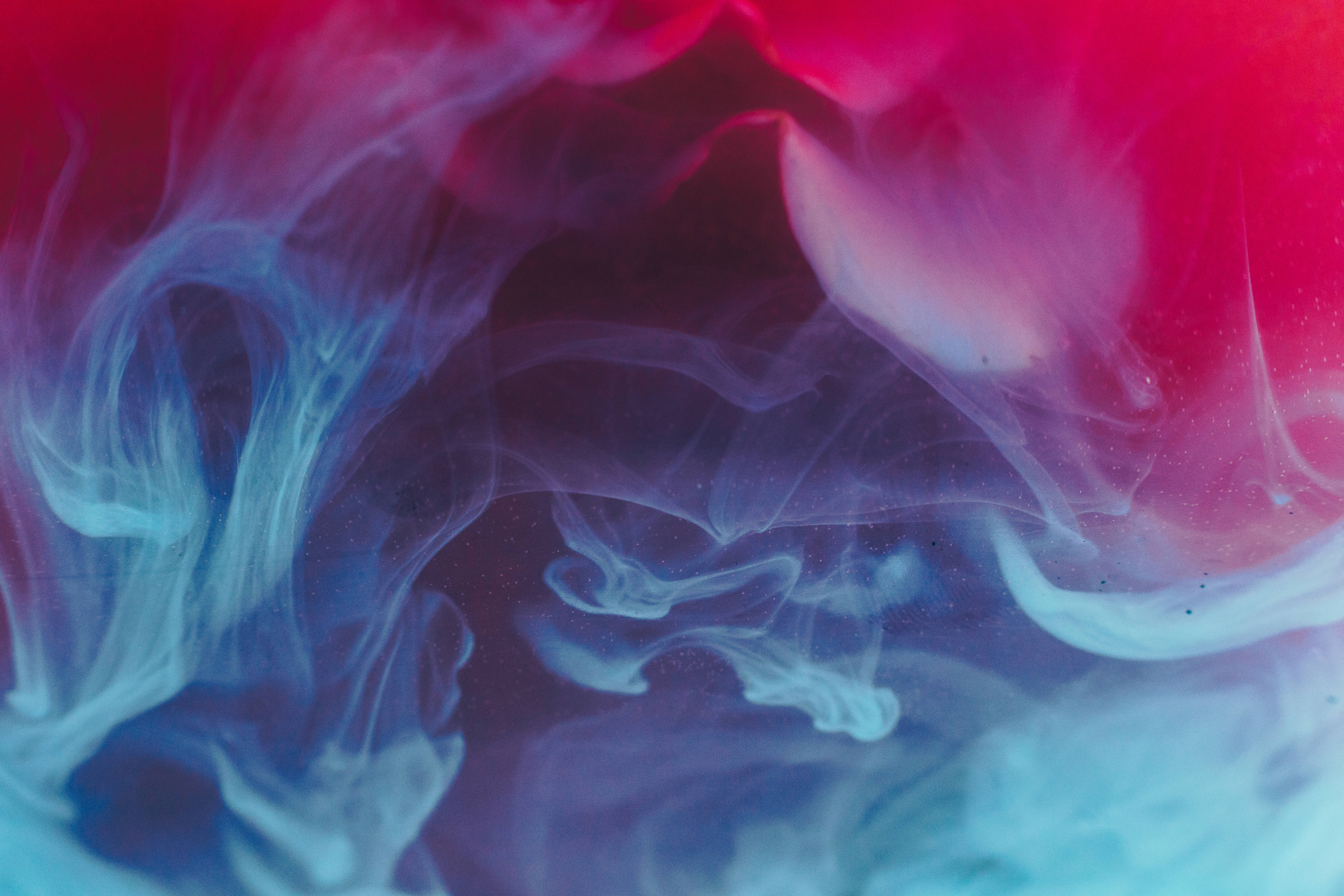 vibrant pink, blue ink swirls, fluid abstract pattern, 5K Desktop Wallpaper