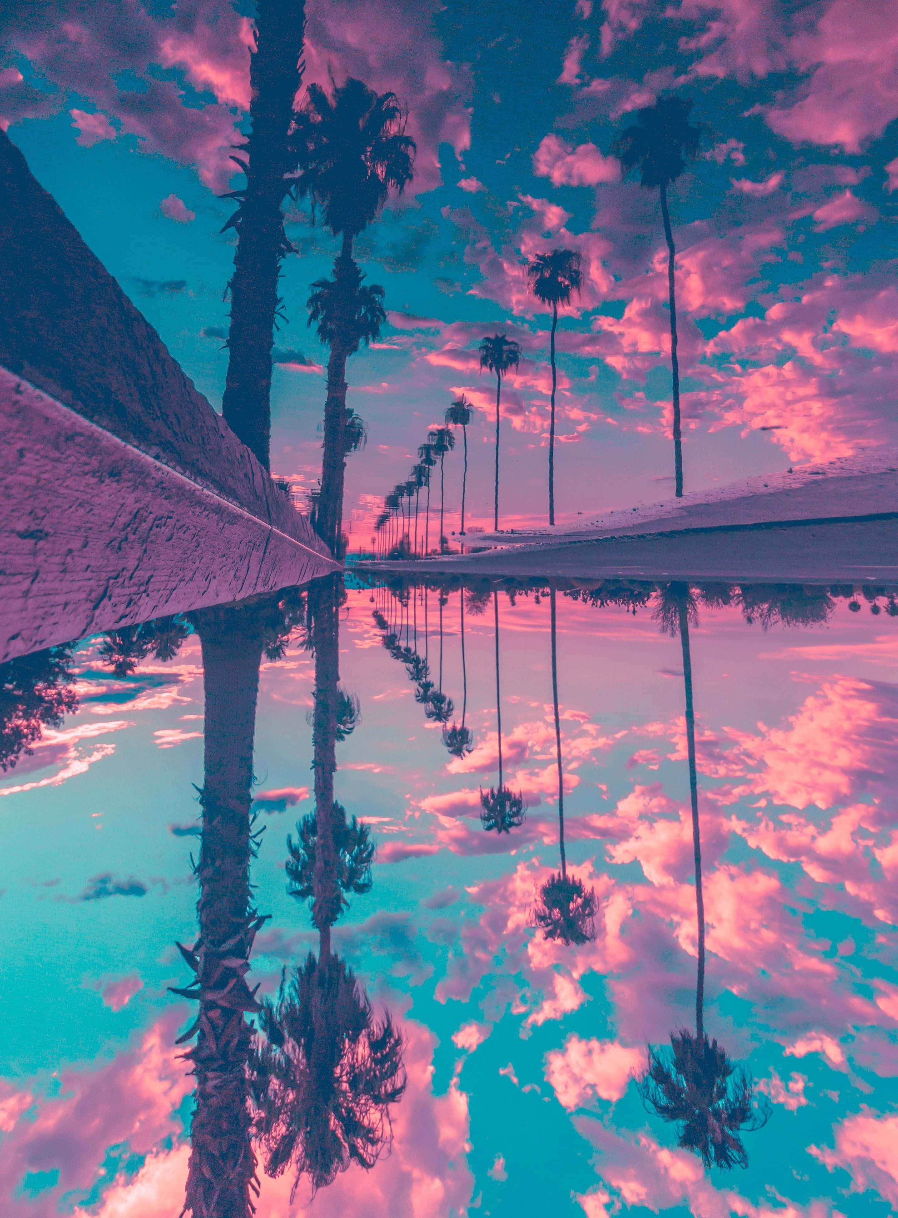 pink and purple sky, palm trees, wet street, 4K Phone Wallpaper