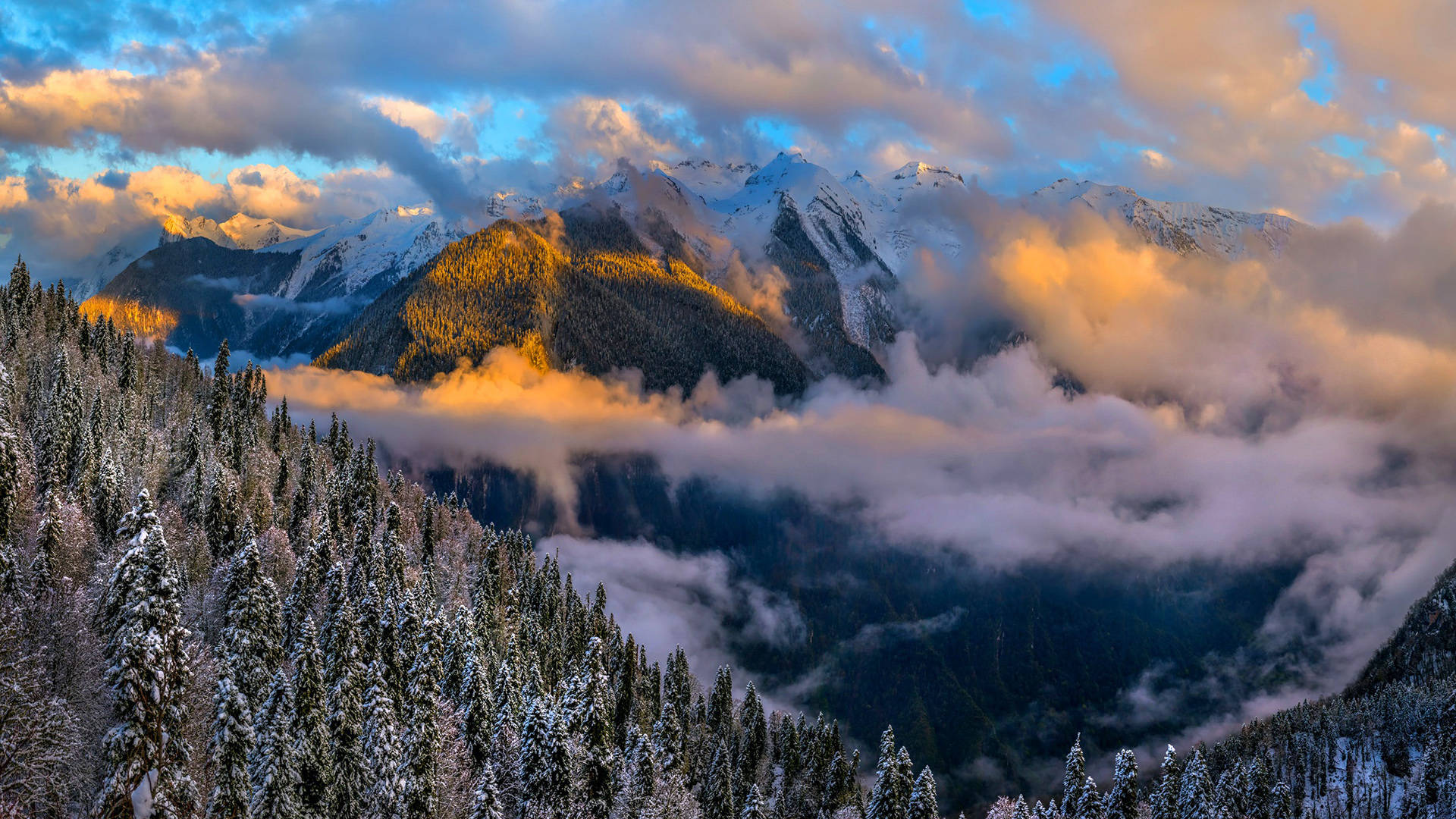 Colorado Mountains, snowcapped peaks, pine forests, Full HD Desktop Wallpaper
