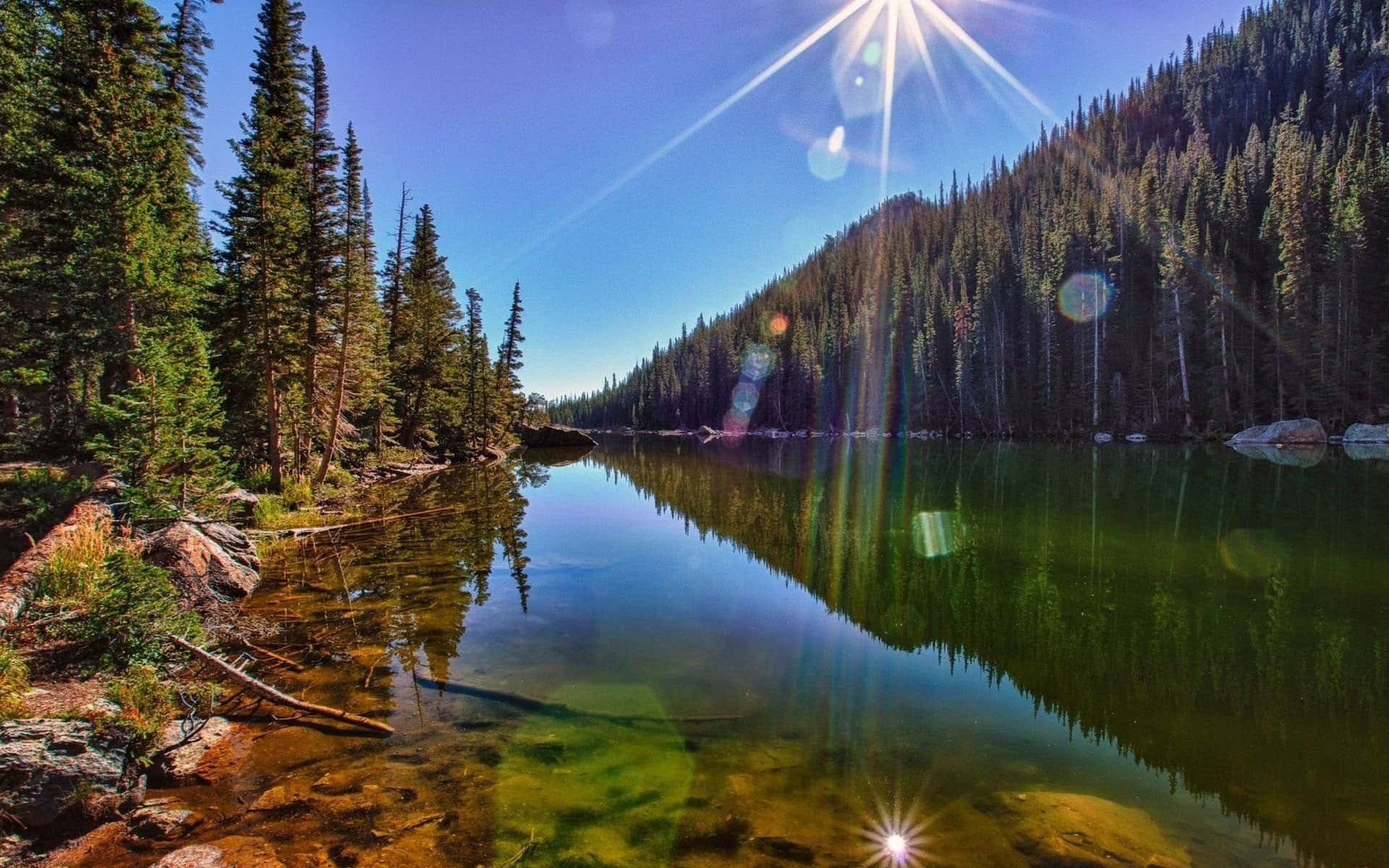 Colorado, alpine lake, pine forests, Full HD Desktop Wallpaper