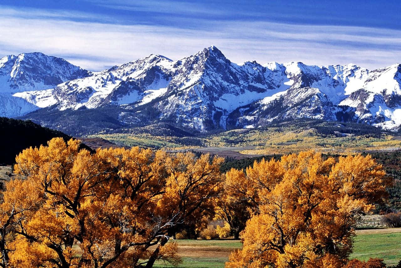 Colorado, golden aspen trees, sweeping valley, HD Desktop Wallpaper