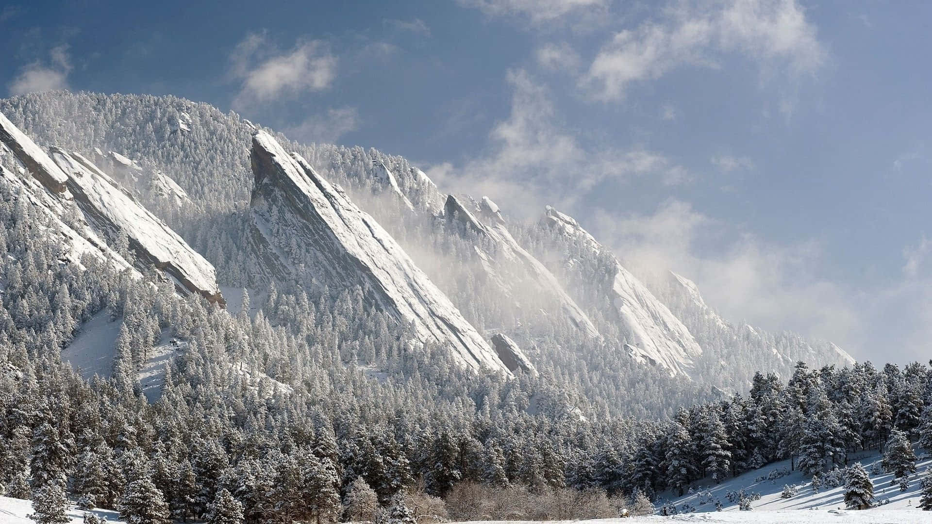 Colorado, mountain peaks, evergreen forests, Full HD Desktop Wallpaper