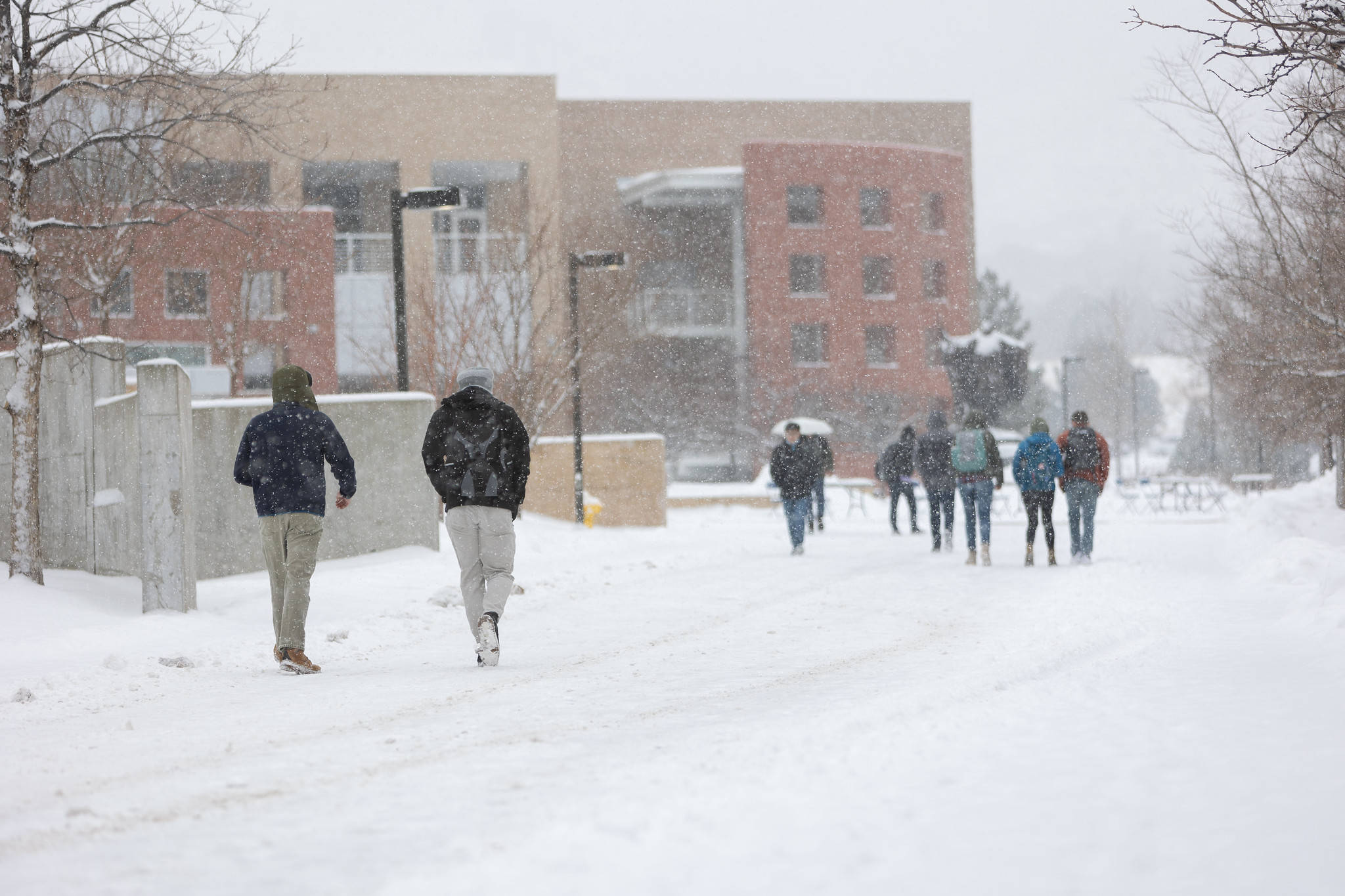 Colorado School Of Mines, winter, snowfall, Full HD Desktop Wallpaper