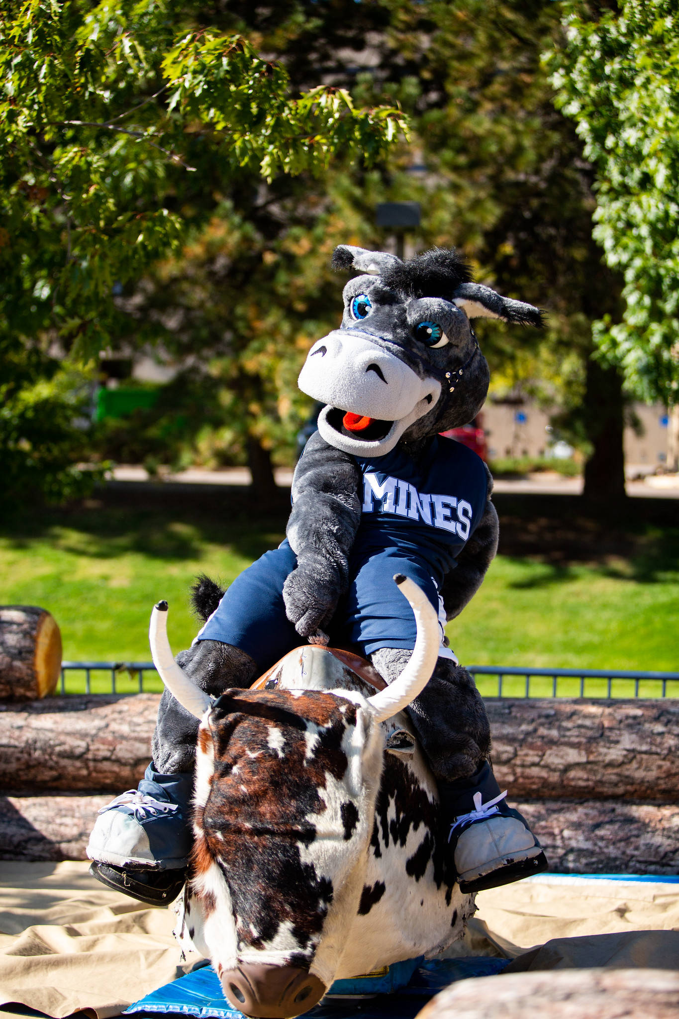 Colorado School Of Mines, MINES jersey, mechanical bull, Full HD Phone Wallpaper