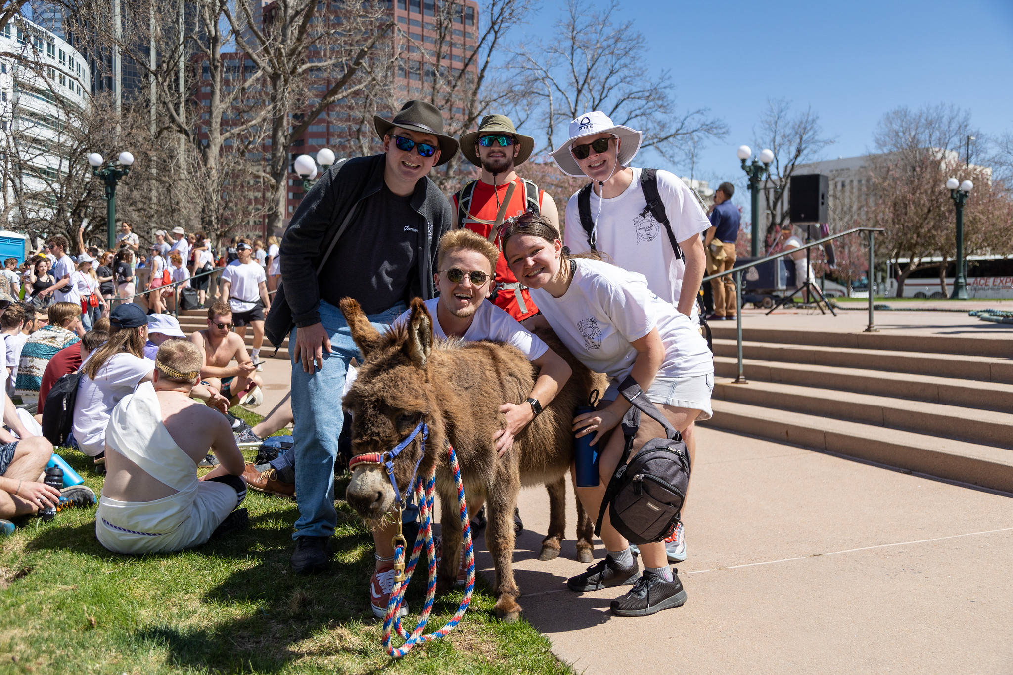 Colorado School Of Mines, donkey, sunny urban park lawn, Full HD Desktop Wallpaper