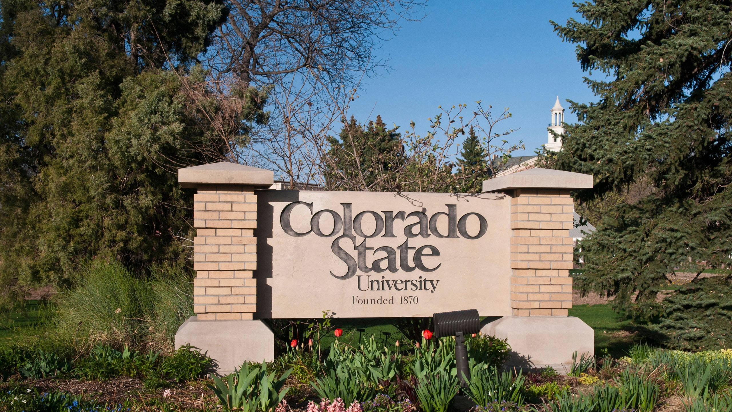 Colorado State University, stone sign, spring flowers, 2K Desktop Wallpaper