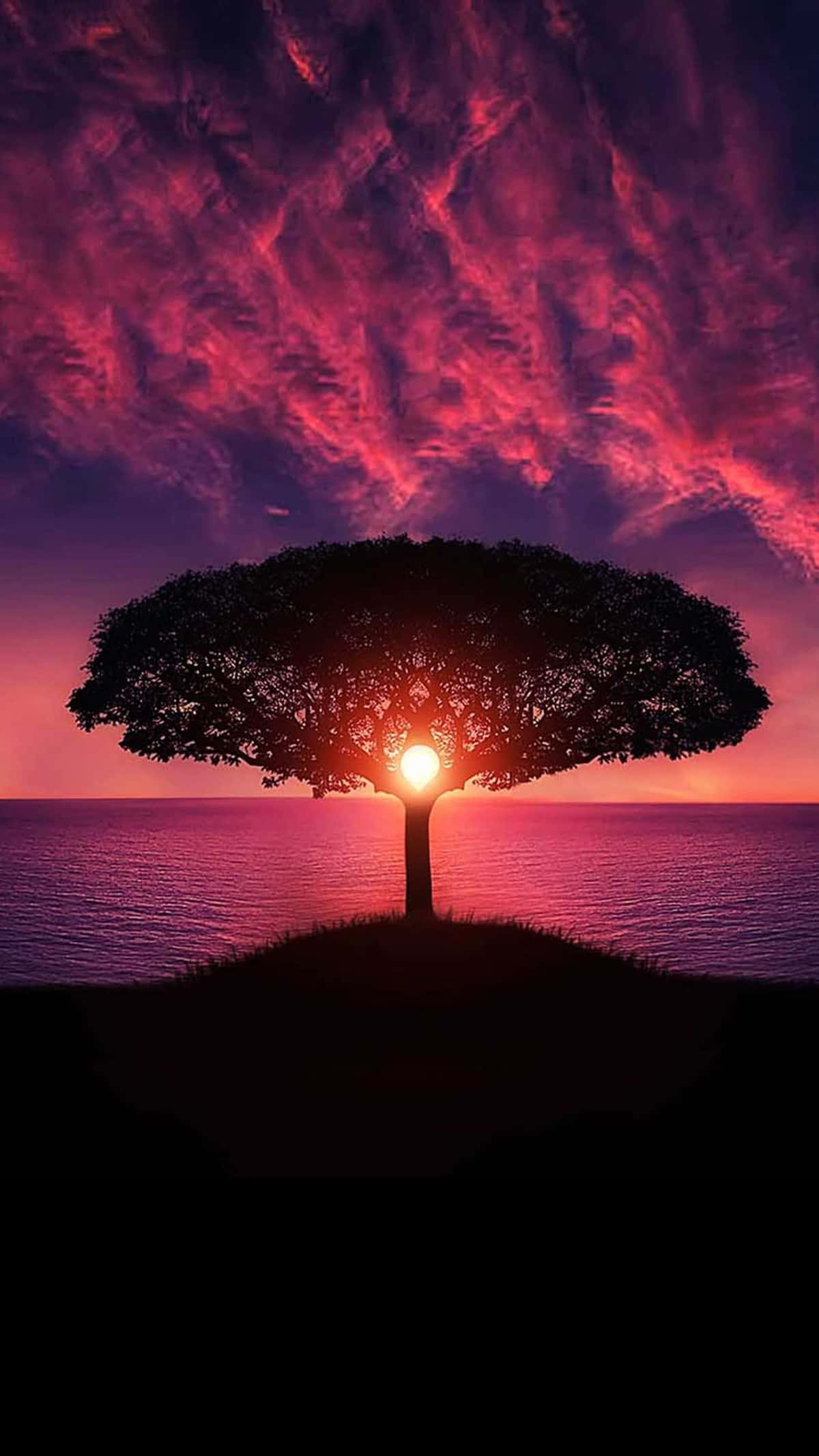 tree silhouette, sunset sky, vibrant pink and purple clouds, Full HD Phone Wallpaper