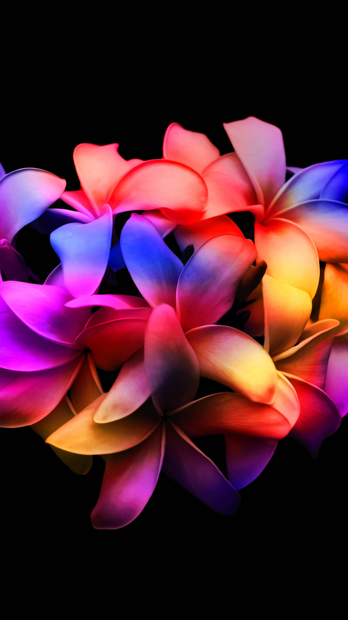 Colorful Amoled, plumeria flower petals, neon pink, 2K Phone Wallpaper