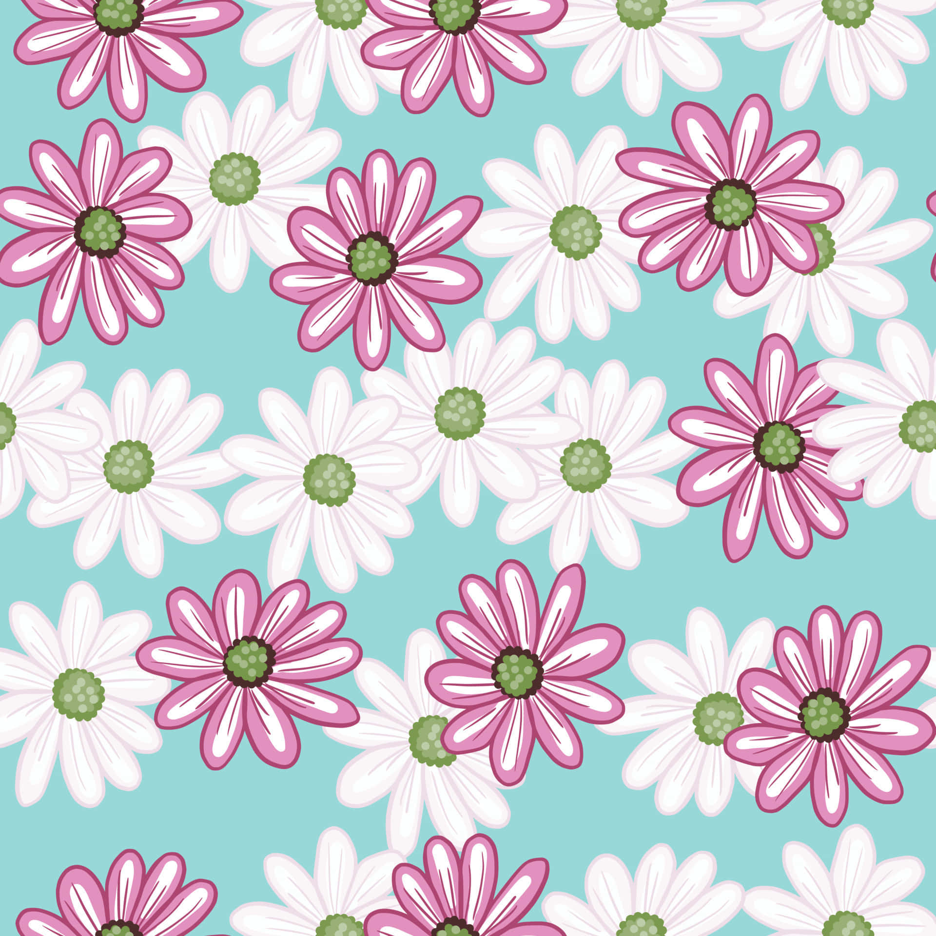 colorful daisies, pink and white daisies, green centers, Full HD Desktop Wallpaper