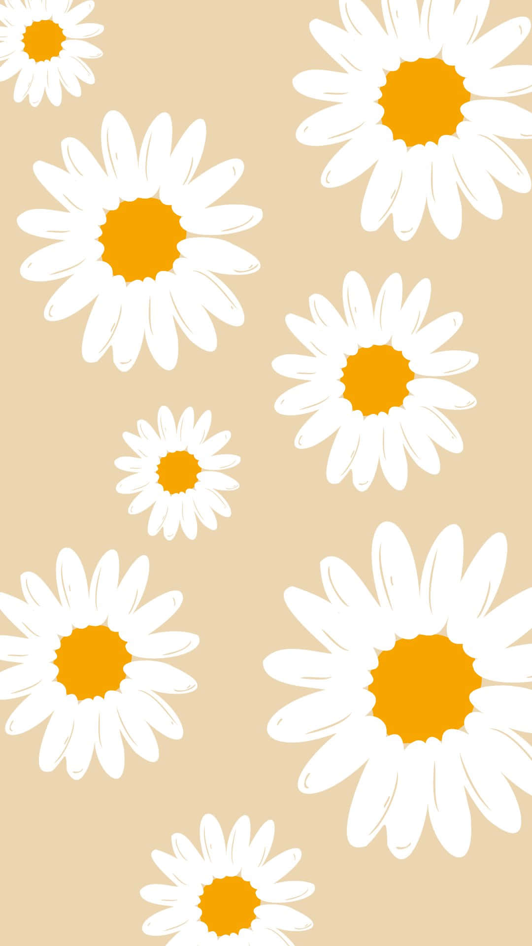 pastel daisy pattern, white daisies, orange centers, Full HD Phone Wallpaper