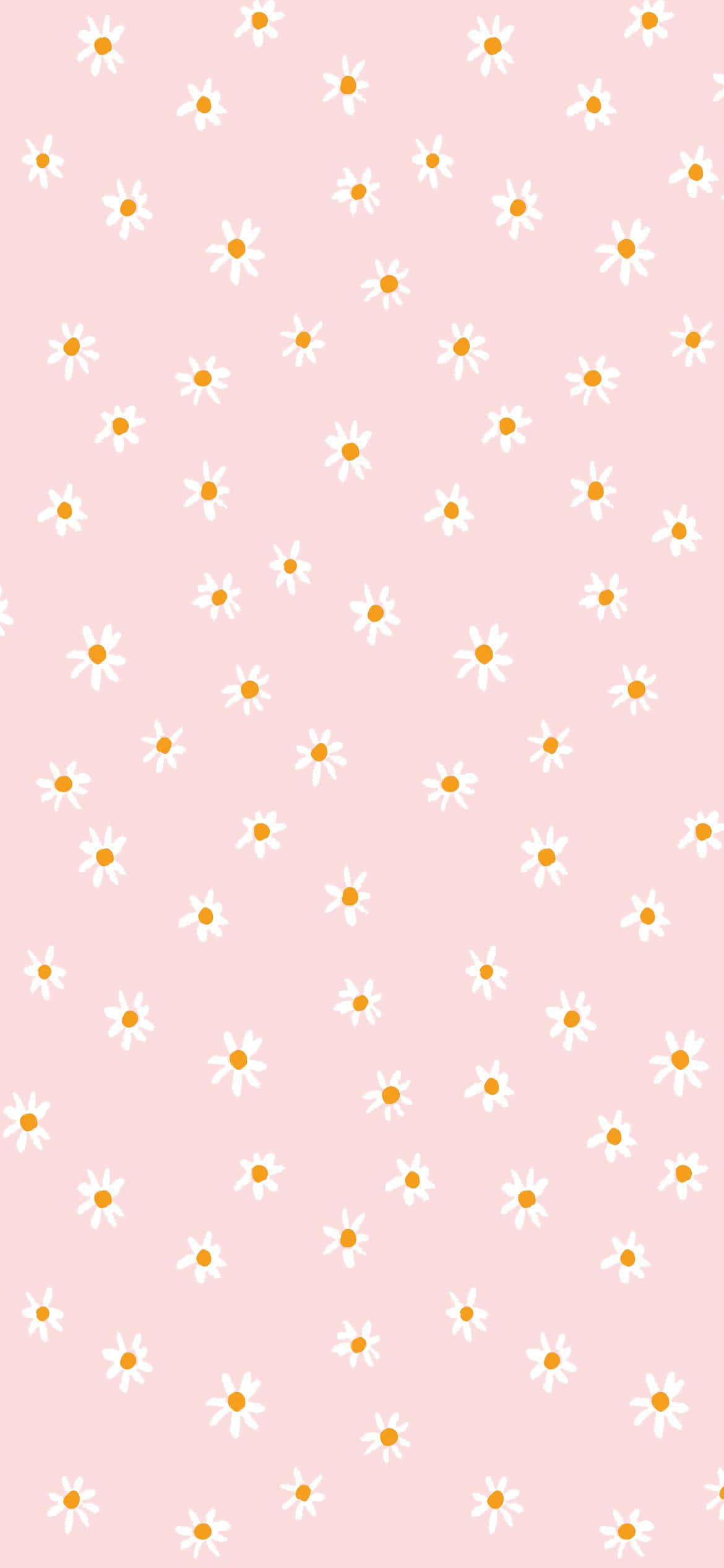 pink boho daisy pattern, soft pink, white daisies, Full HD Phone Wallpaper