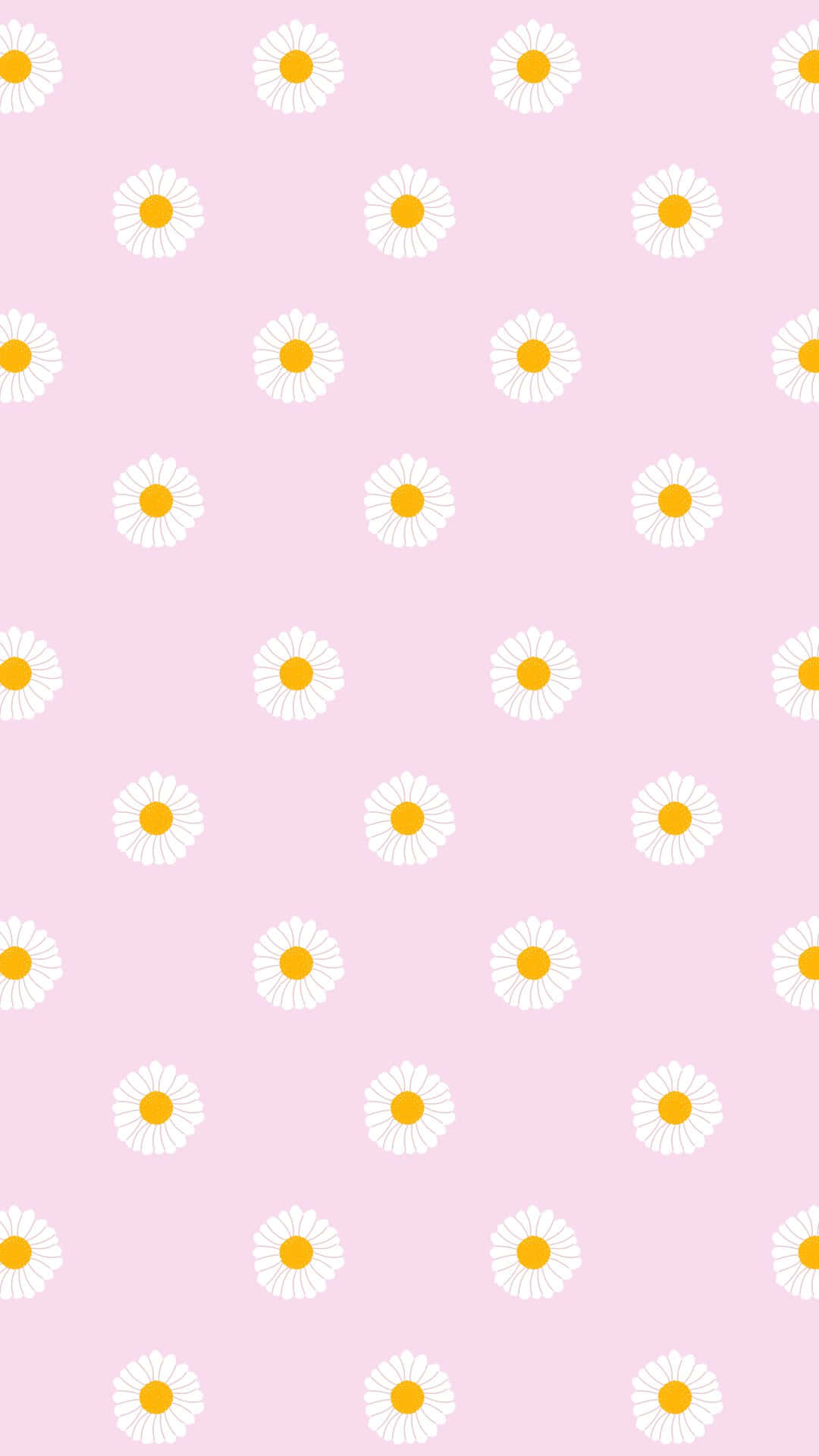 pastel pink daisy pattern, soft pink background, white daisies, Full HD Phone Wallpaper