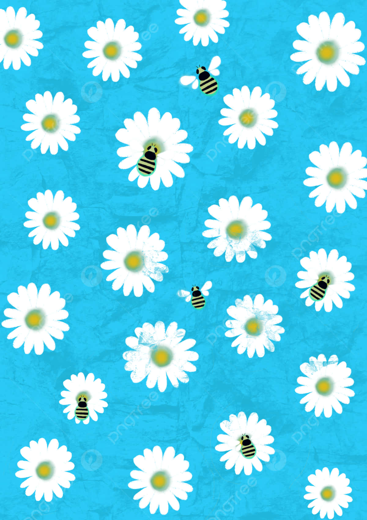 white daisies, yellow centers, black bees, HD Phone Wallpaper
