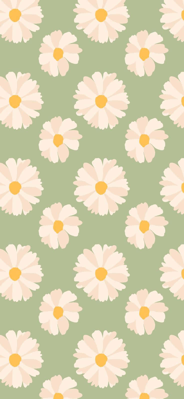 daisy pattern, cream petals, yellow centers, HD Phone Wallpaper