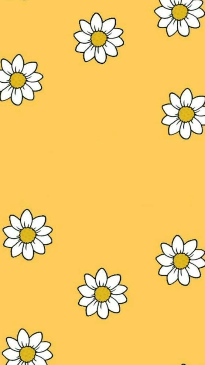 sunny daisy pattern, white daisies, yellow centers, SD Phone Wallpaper