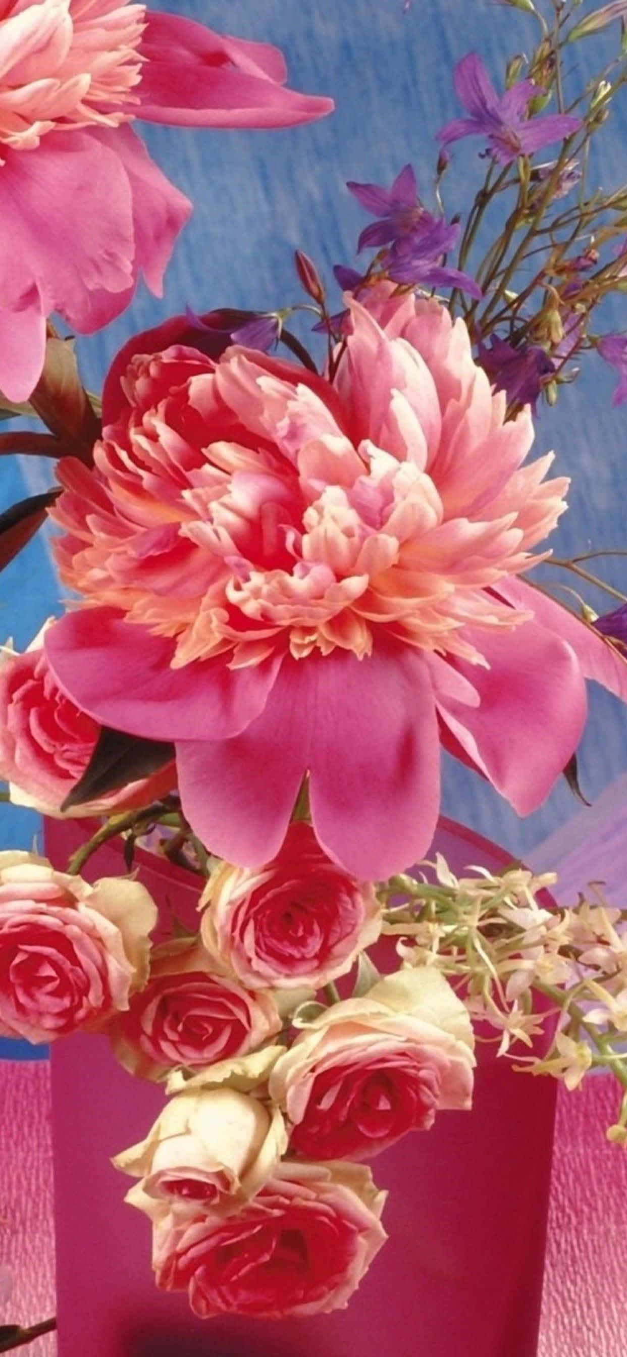 Colorful Flower iPhone, pink peonies, roses, 2K Phone Wallpaper