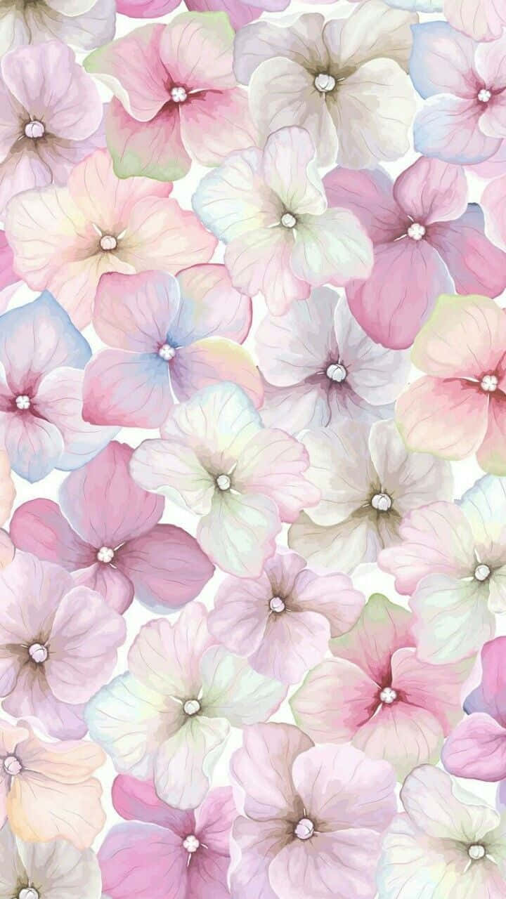 colorful flowers iPhone, pastel pink, blue, HD Phone Wallpaper