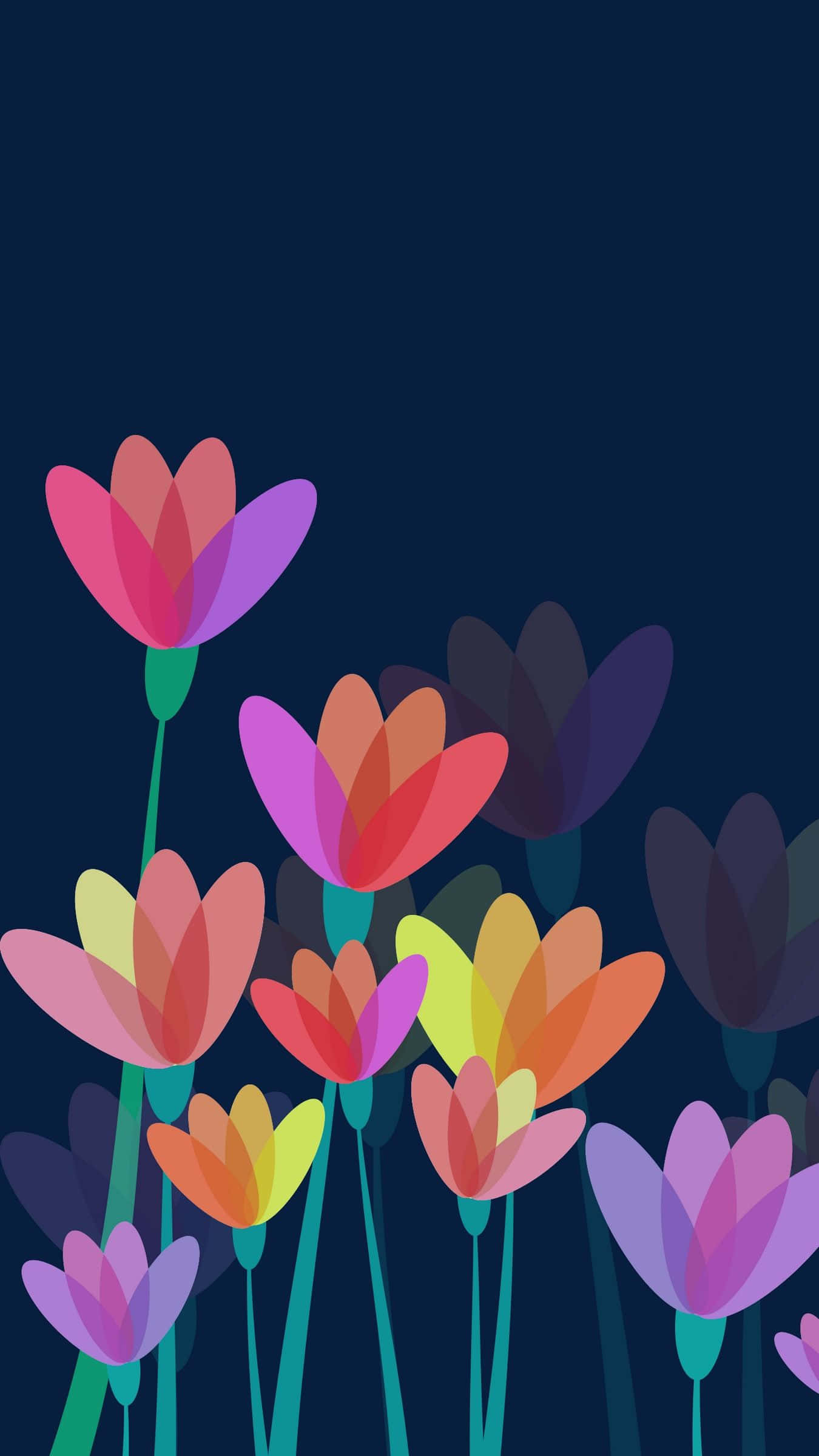 Colorful Flowers iPhone, vibrant stylized flowers, layered rainbow hues, Full HD Phone Wallpaper
