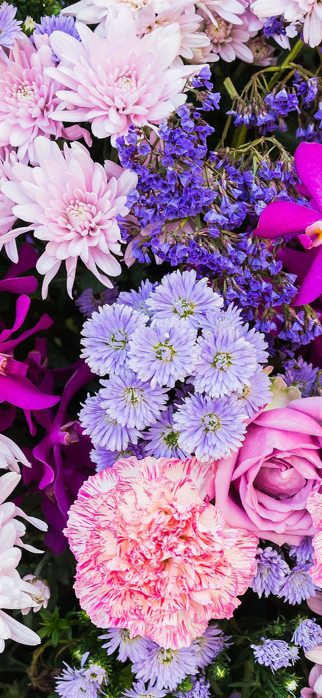 colorful flowers iPhone, pink peach roses, carnations, 2K Phone Wallpaper