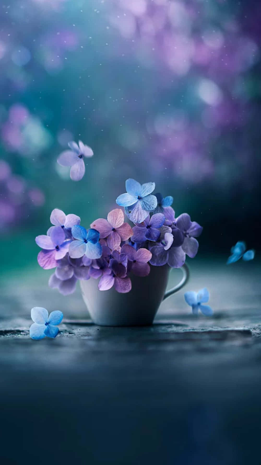 purple hydrangeas, blue hydrangeas, dark surface, HD Phone Wallpaper