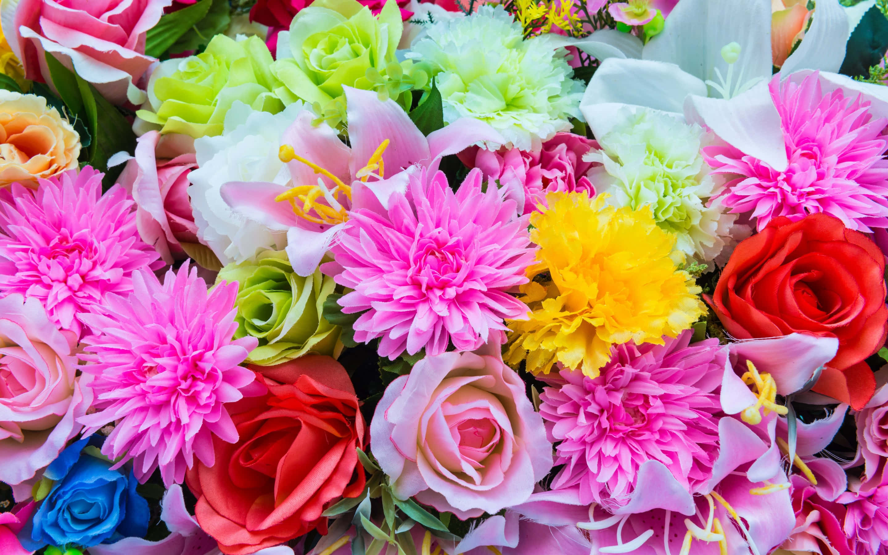 colorful flowers, roses, lilies, 2K Desktop Wallpaper