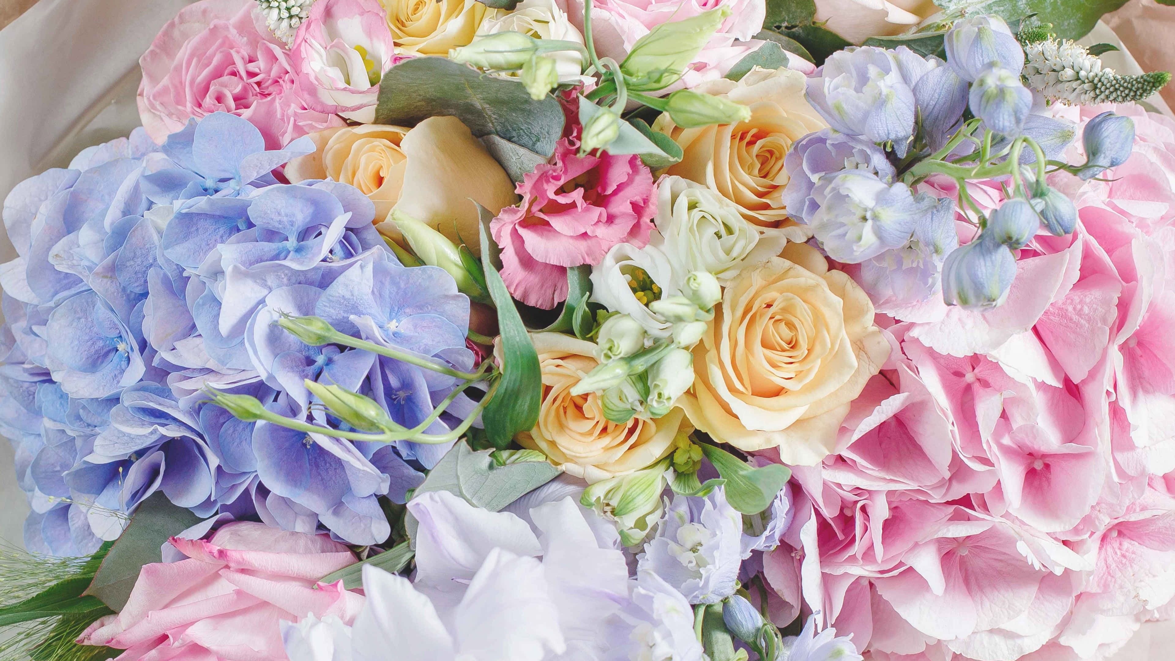 colorful flowers, pastel pink, blue, 4K Desktop Wallpaper
