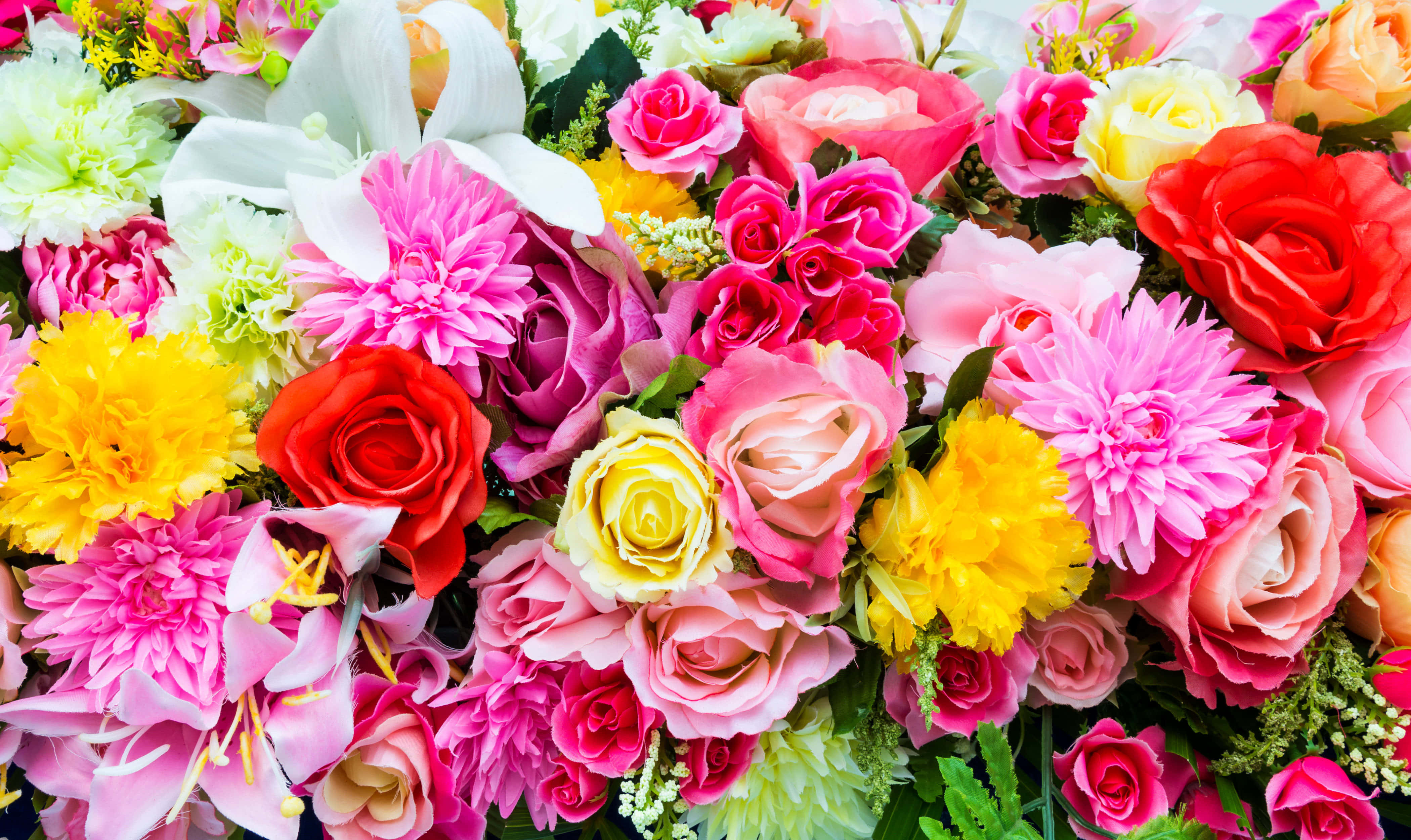 colorful flowers, roses, dahlias, 4K Desktop Wallpaper
