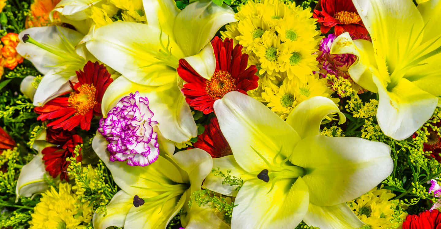 yellow lilies, red gerbera daisies, purple carnations, HD Desktop Wallpaper