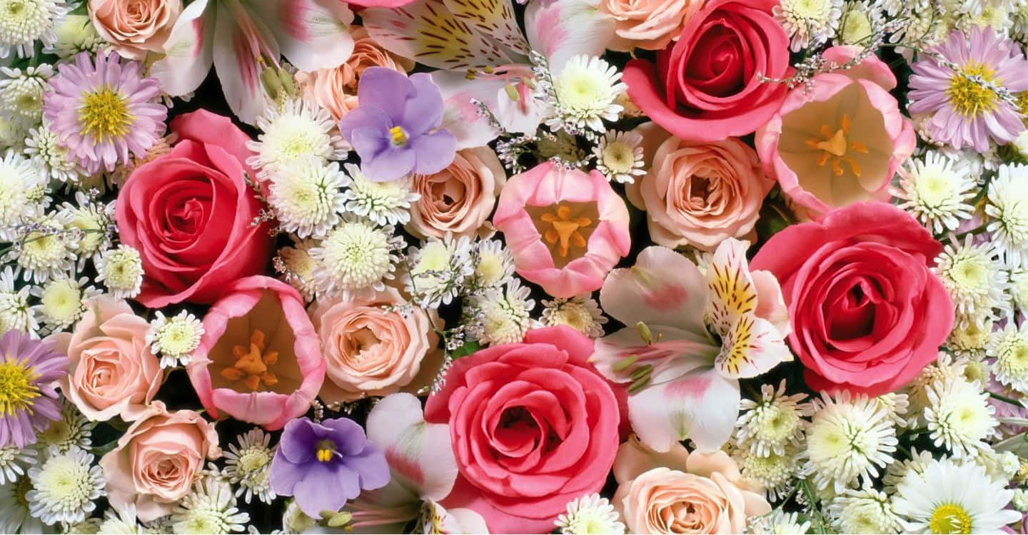 pink roses, purple alstroemeria, white daisies, HD Desktop Wallpaper