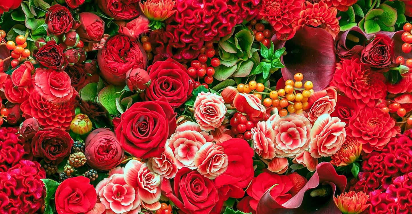 colorful flowers, vivid red, pink flowers, HD Desktop Wallpaper
