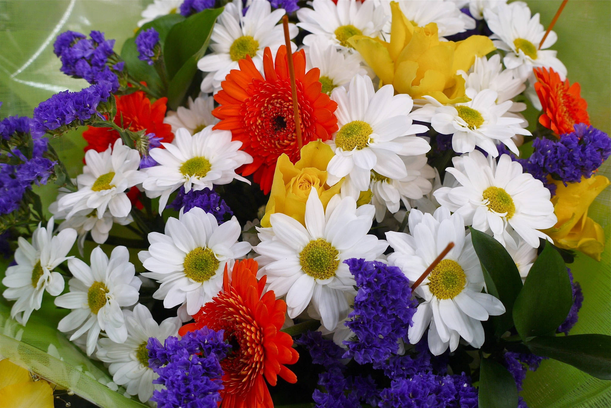tropical flower bouquet, white daisies, orange gerberas, Full HD Desktop Wallpaper