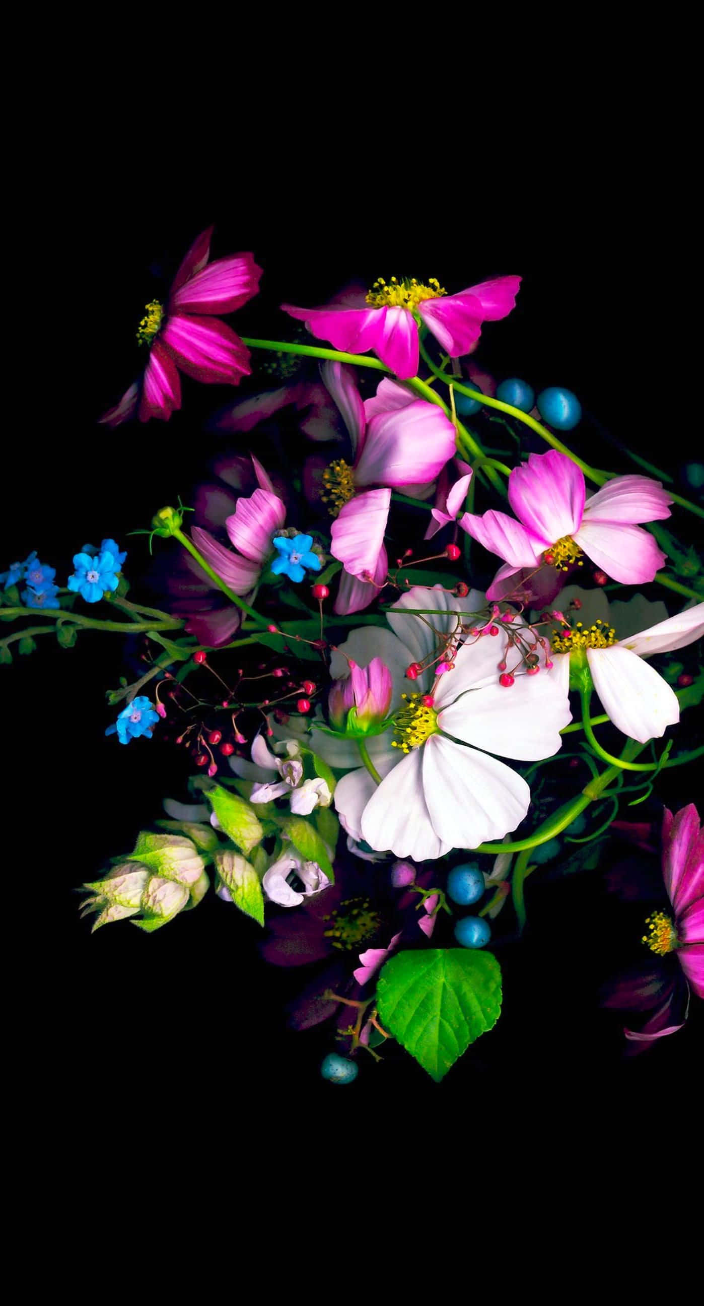 colorful flowers, pink, white, 2K Phone Wallpaper