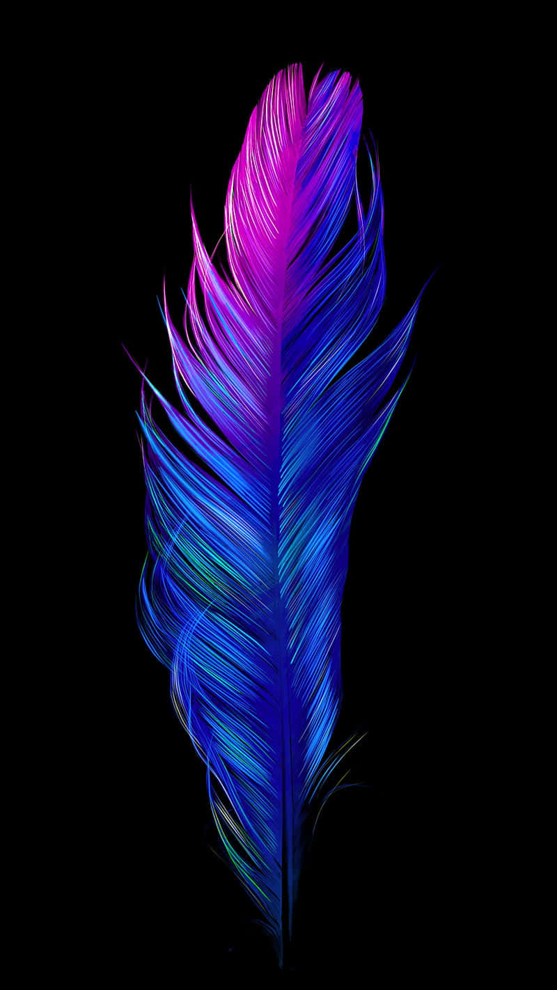 colorful oled, electric purple, blue, HD Phone Wallpaper