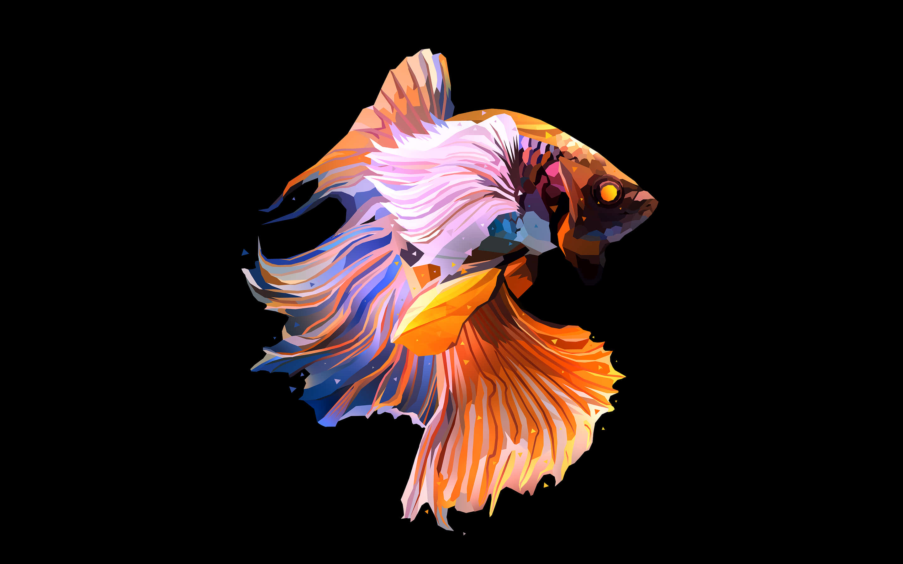 Colorful Oled, betta fish, orange, 2K Desktop Wallpaper