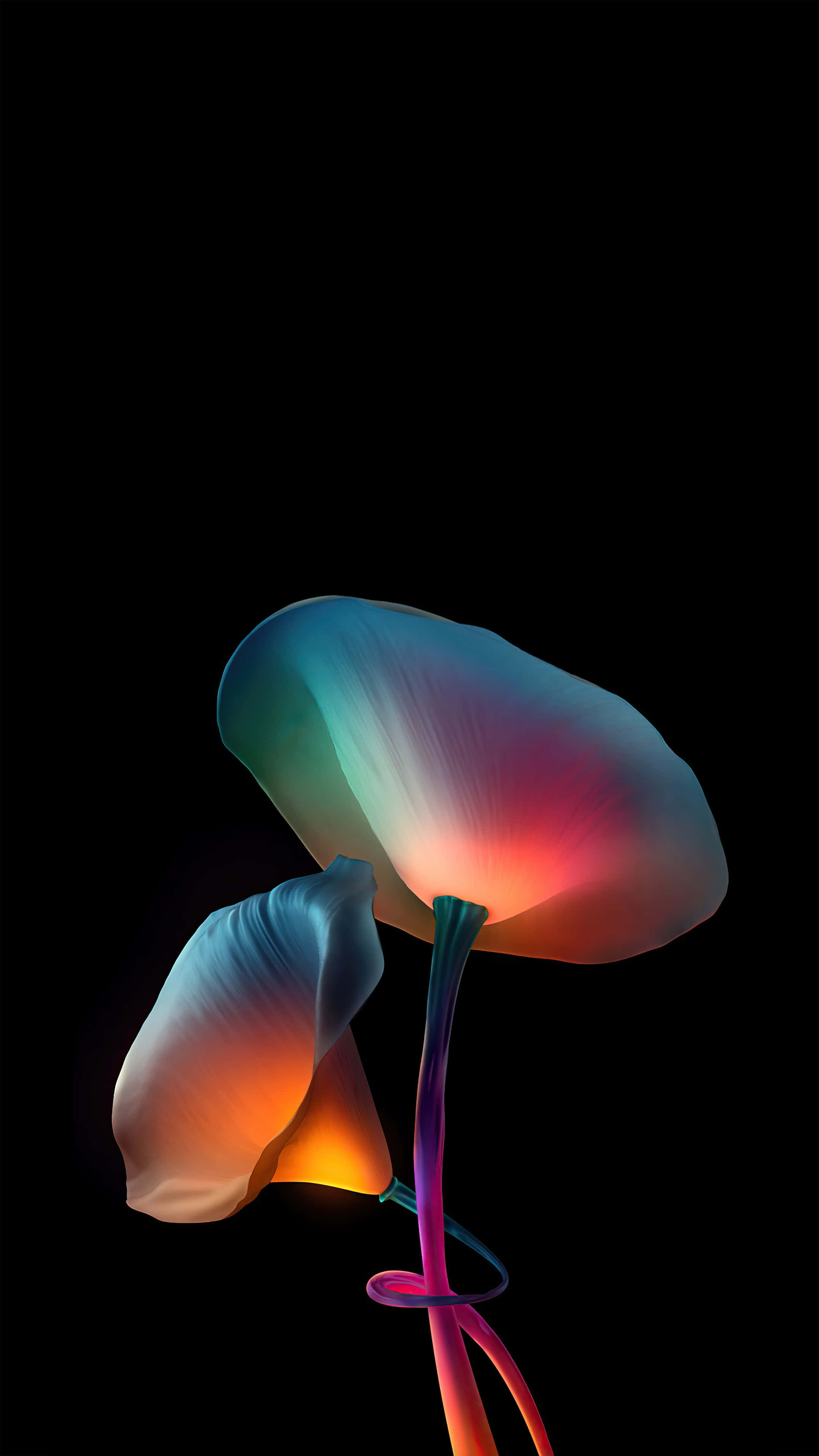 Colorful OLED Screen, iridescent petals, twisted stem, 4K Phone Wallpaper