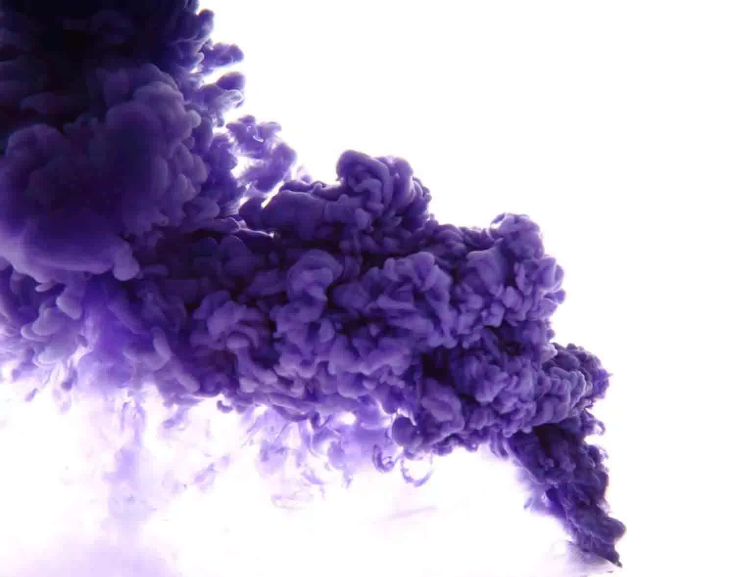 multicolored smoke, vivid purple ink, fluid abstract motion, HD Desktop Wallpaper
